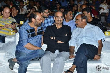 Naa Peru Surya Naa Illu India Pre Release Event Photos